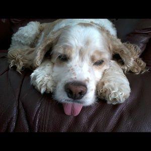 Meet your Posher, Mary